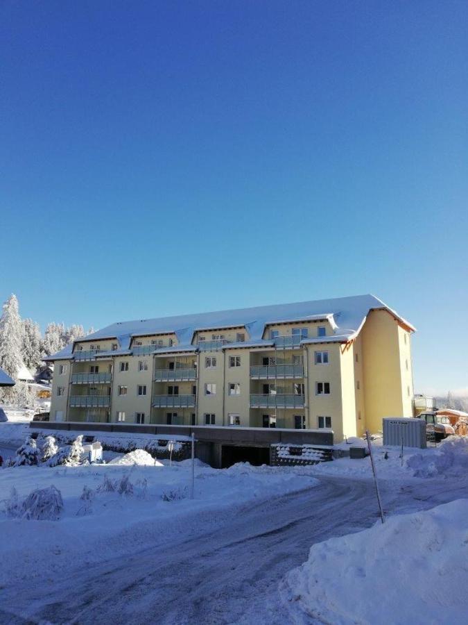 Residenz-Grafenmatt-Feldberg-Schwarzwald Apartment Feldberg  Ngoại thất bức ảnh